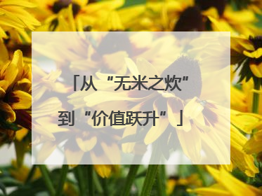 从“无米之炊”到“价值跃升”