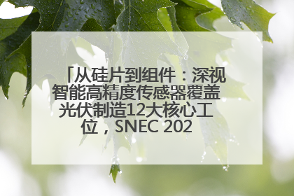 从硅片到组件：深视智能高精度传感器覆盖光伏制造12大核心工位，SNEC 2025诚邀见证