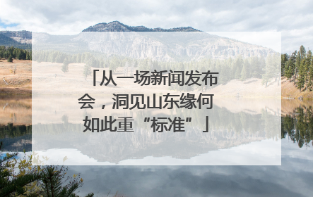 从一场新闻发布会，洞见山东缘何如此重“标准”