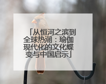 从恒河之滨到全球热潮：瑜伽现代化的文化蝶变与中国启示