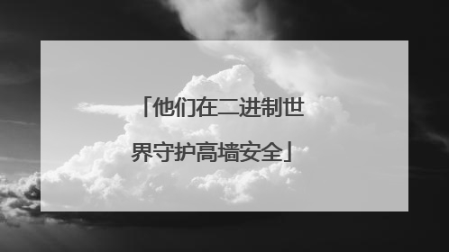 他们在二进制世界守护高墙安全