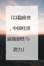 以稳应变，中国经济展现韧性与潜力