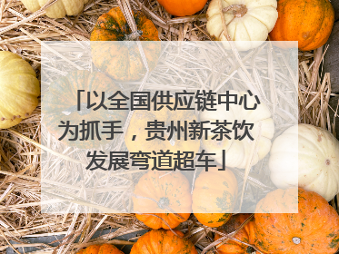 以全国供应链中心为抓手，贵州新茶饮发展弯道超车