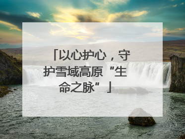 以心护心，守护雪域高原“生命之脉”
