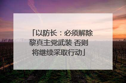 以防长：必须解除黎真主党武装 否则将继续采取行动