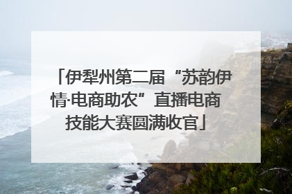 伊犁州第二届“苏韵伊情·电商助农”直播电商技能大赛圆满收官