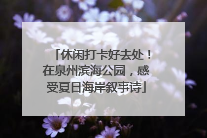 休闲打卡好去处！在泉州滨海公园，感受夏日海岸叙事诗
