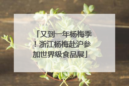 又到一年杨梅季！浙江杨梅赴沪参加世界级食品展