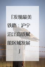 发现最美铁路：沪宁沿江高铁赋能区域发展