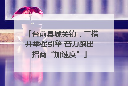 台前县城关镇：三措并举强引擎 奋力跑出招商“加速度”