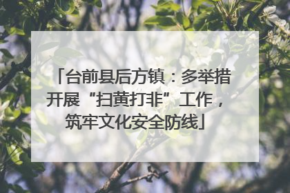 台前县后方镇：多举措开展“扫黄打非”工作，筑牢文化安全防线
