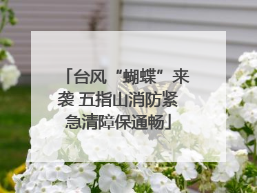 台风“蝴蝶”来袭 五指山消防紧急清障保通畅