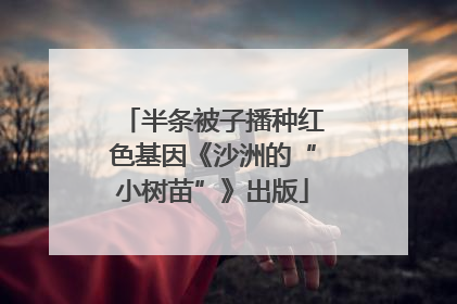 半条被子播种红色基因《沙洲的“小树苗”》出版