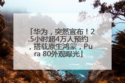 华为，突然宣布！2.5小时超4万人预约，搭载原生鸿蒙，Pura 80外观曝光