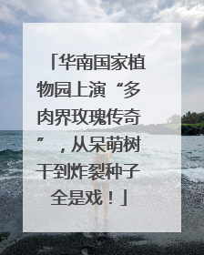 华南国家植物园上演“多肉界玫瑰传奇”，从呆萌树干到炸裂种子全是戏！