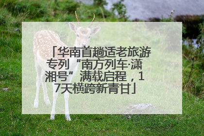 华南首趟适老旅游专列“南方列车·潇湘号”满载启程，17天横跨新青甘