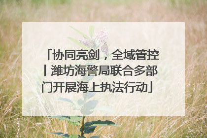 协同亮剑，全域管控丨潍坊海警局联合多部门开展海上执法行动