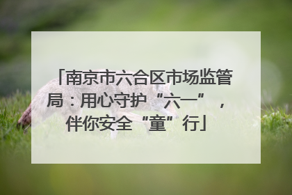 南京市六合区市场监管局：用心守护“六一”，伴你安全“童”行
