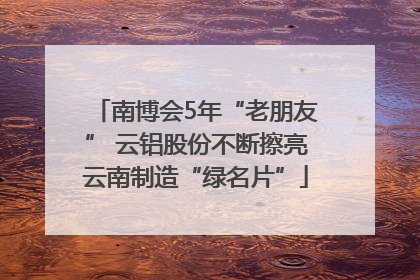 南博会5年“老朋友” 云铝股份不断擦亮云南制造“绿名片”