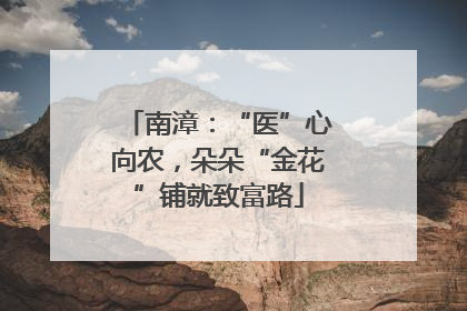 南漳：“医”心向农，朵朵“金花”铺就致富路