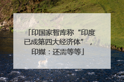 印国家智库称“印度已成第四大经济体”，印媒：还需等等