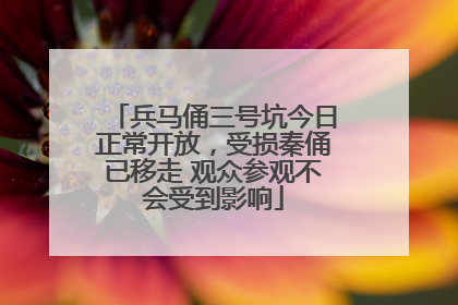 兵马俑三号坑今日正常开放，受损秦俑已移走 观众参观不会受到影响