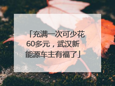 充满一次可少花60多元，武汉新能源车主有福了