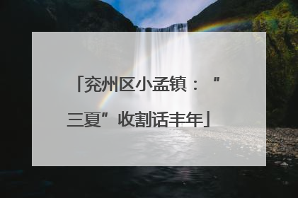 兖州区小孟镇：“三夏”收割话丰年