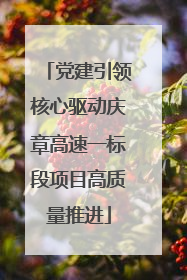 党建引领核心驱动庆章高速一标段项目高质量推进