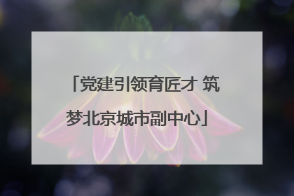 党建引领育匠才 筑梦北京城市副中心