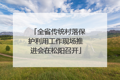 全省传统村落保护利用工作现场推进会在松阳召开
