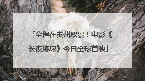 全程在贵州取景！电影《长夜将尽》今日全球首映