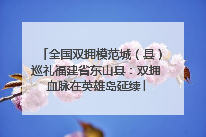 全国双拥模范城（县）巡礼福建省东山县：双拥血脉在英雄岛延续