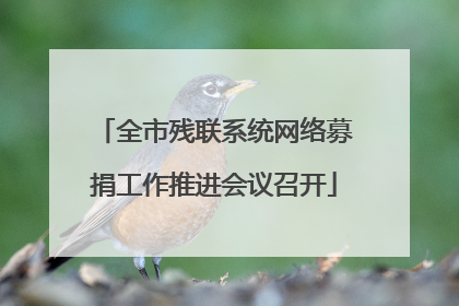 全市残联系统网络募捐工作推进会议召开