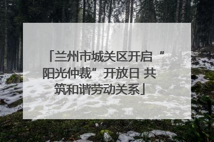 兰州市城关区开启“阳光仲裁”开放日 共筑和谐劳动关系