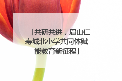 共研共进，眉山仁寿城北小学共同体赋能教育新征程
