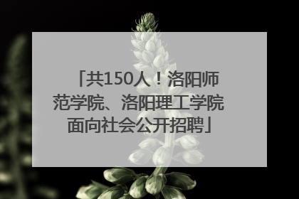 共150人！洛阳师范学院、洛阳理工学院面向社会公开招聘