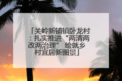 关岭新铺镇卧龙村：扎实推进“两清两改两治理” 绘就乡村宜居新图景