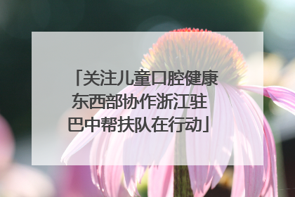 关注儿童口腔健康 东西部协作浙江驻巴中帮扶队在行动