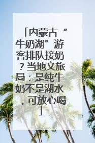 内蒙古“牛奶湖”游客排队接奶？当地文旅局：是纯牛奶不是湖水，可放心喝