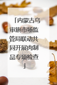内蒙古乌审旗市场监管局联动共同开展肉制品专项检查