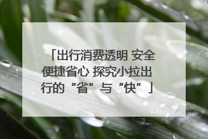 出行消费透明 安全便捷省心 探究小拉出行的“省”与“快”
