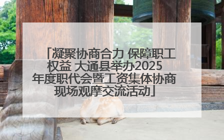 凝聚协商合力 保障职工权益 大通县举办2025年度职代会暨工资集体协商现场观摩交流活动