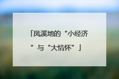 凤溪地的“小经济”与“大情怀”
