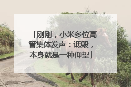 刚刚，小米多位高管集体发声：诋毁，本身就是一种仰望