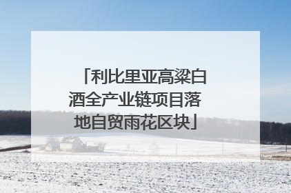 利比里亚高粱白酒全产业链项目落地自贸雨花区块