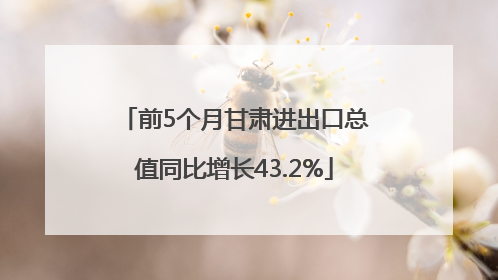前5个月甘肃进出口总值同比增长43.2%