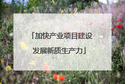 加快产业项目建设 发展新质生产力