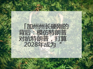 加州州长硬刚的背后：模仿特朗普对抗特朗普，打算2028年成为“特朗普”