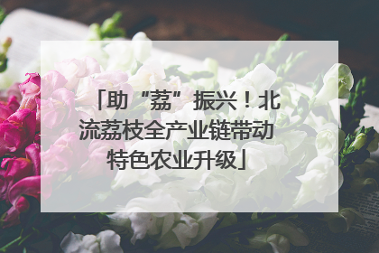 助“荔”振兴！北流荔枝全产业链带动特色农业升级